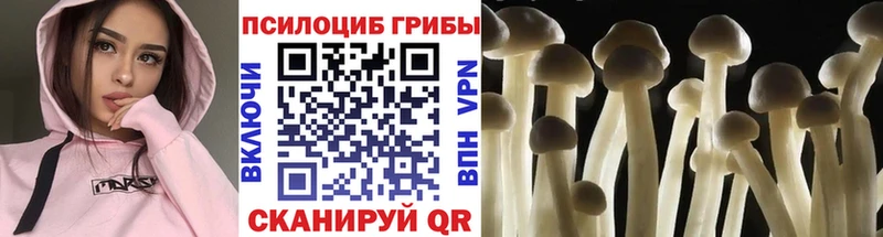 блэк спрут ТОР  Судогда  Галлюциногенные грибы прущие грибы 